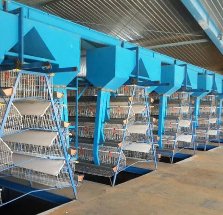 خرید و فروش تجهیزات کامل مرغداری تخمگذار گوشتی خدابنده در زنجان